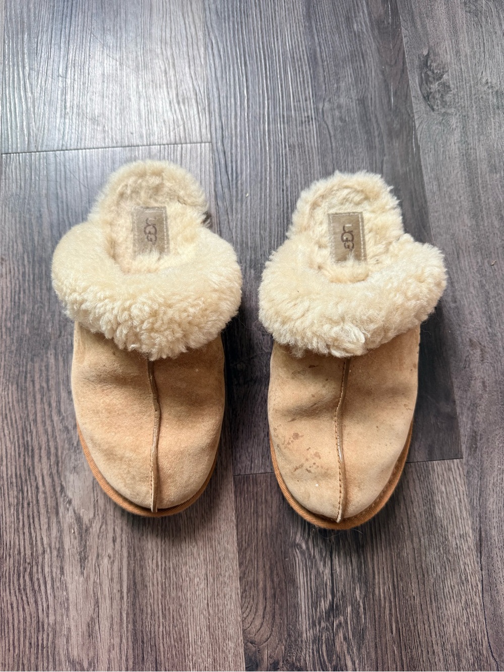 UGG Chestnut Tan Shearling-Lined Slip-On Slippers - Picture 5 of 7